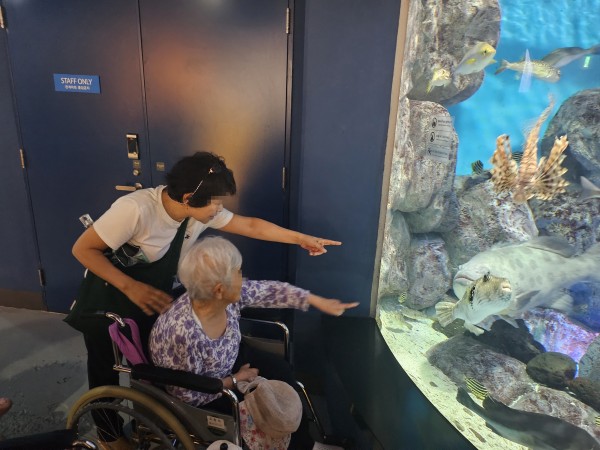 9084b35032bfa9de7f6fe90ee9a49a0a_1756945